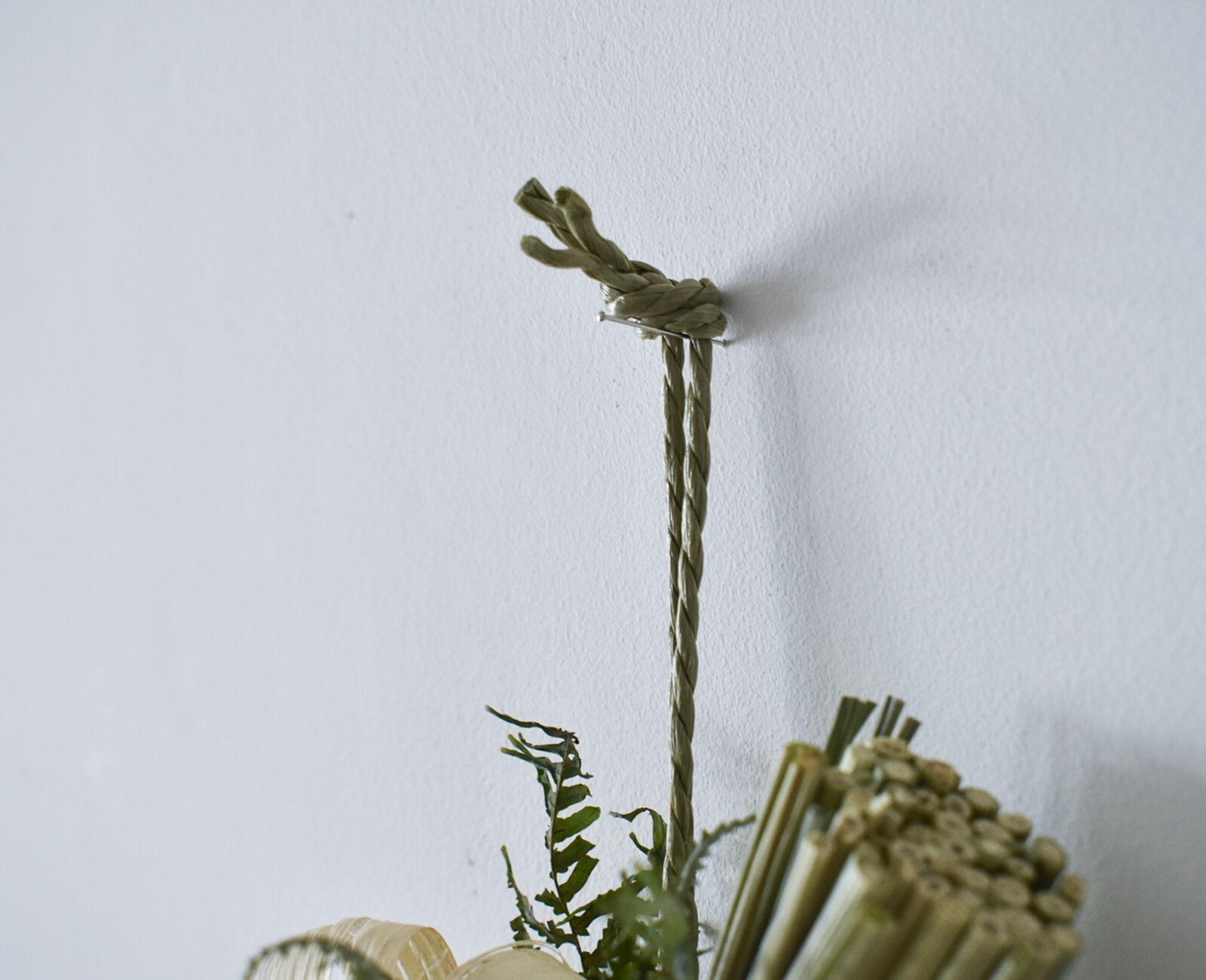 �����α�