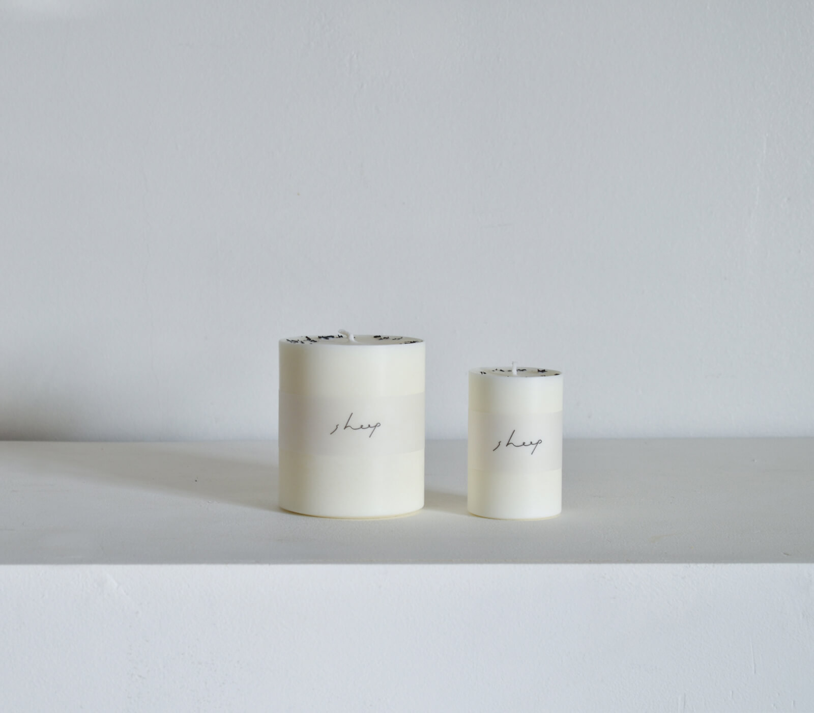 ���������ɥ� sheep