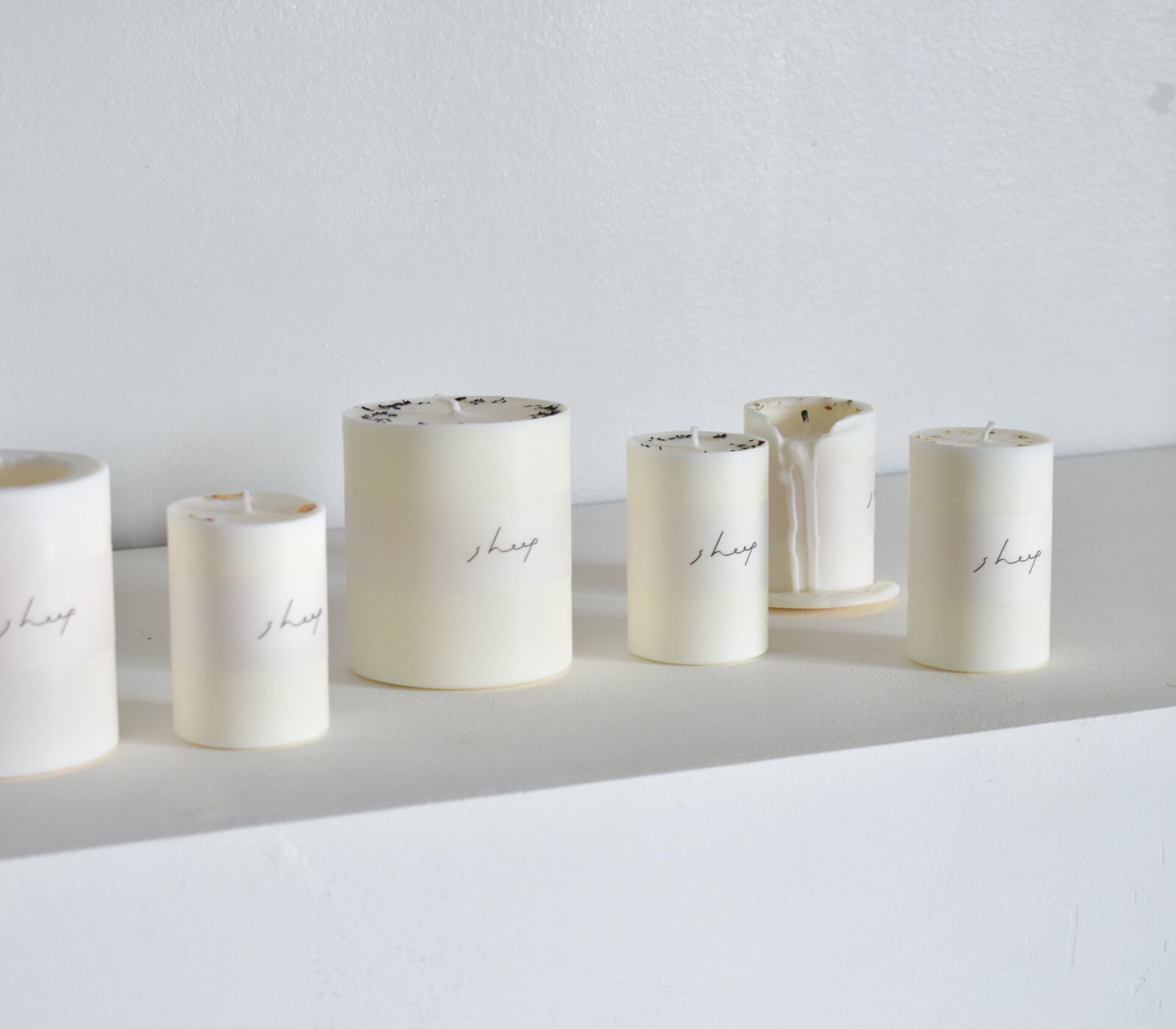 ���������ɥ� sheep