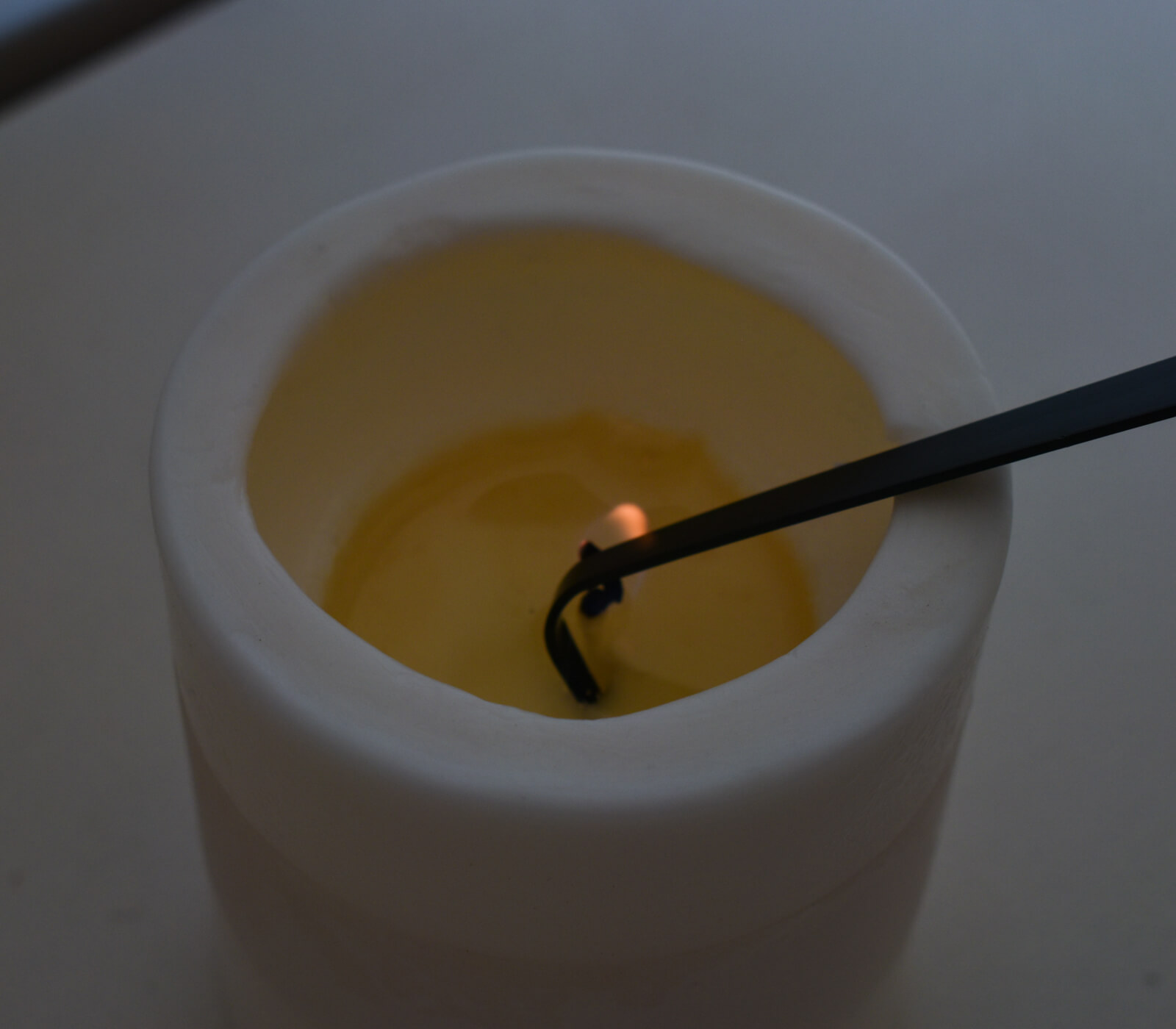 ���������ɥ� sheep