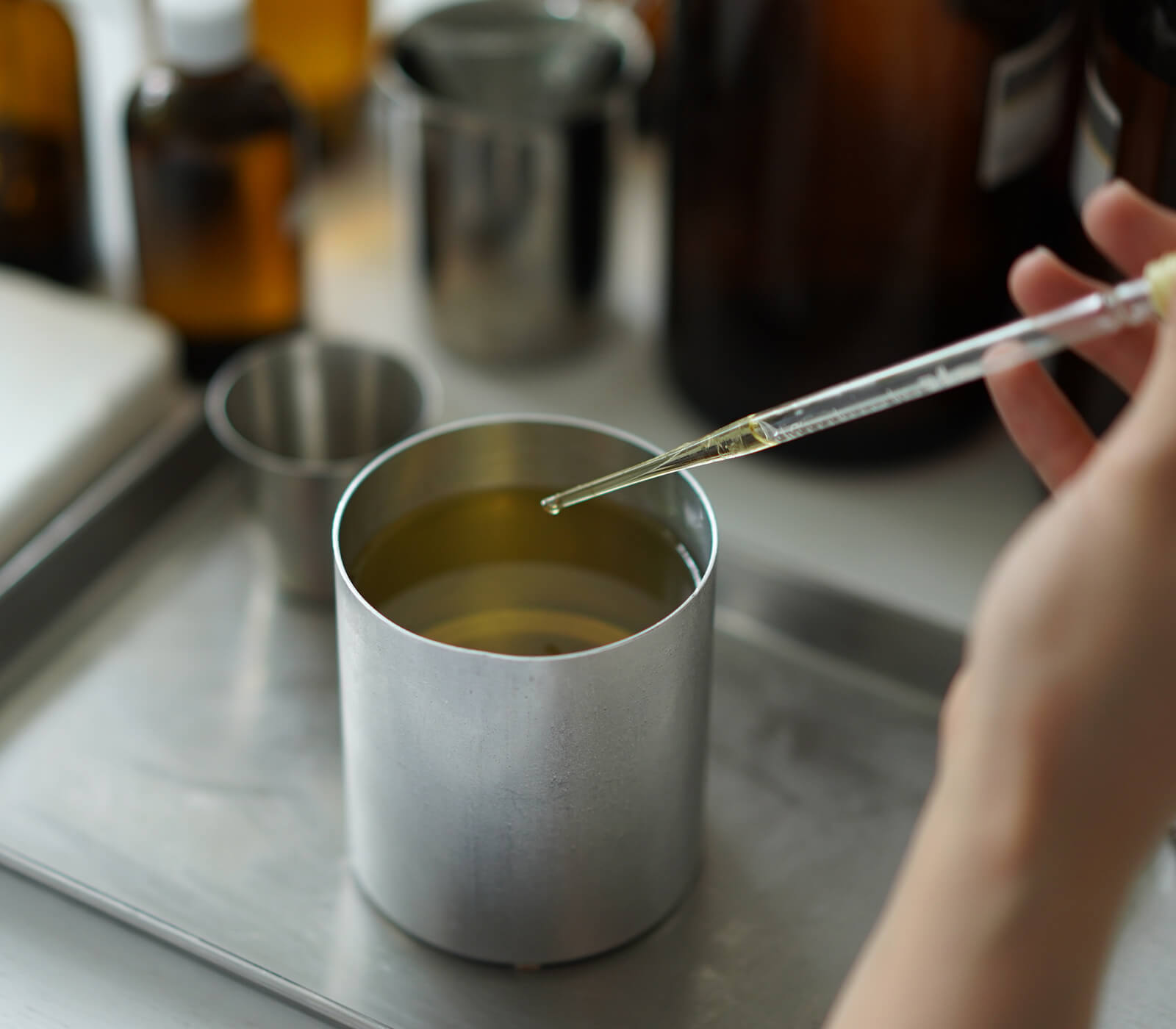 ���������ɥ� sheep