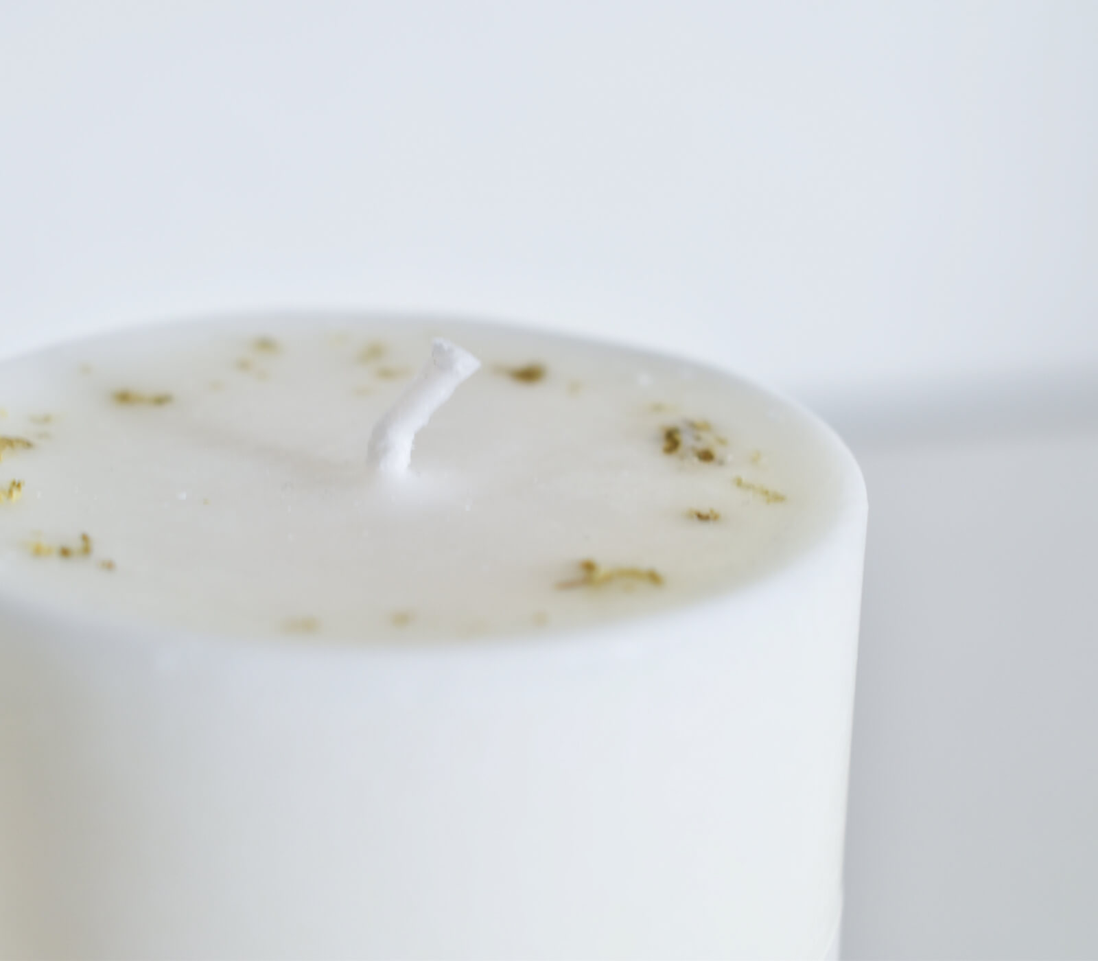 ���������ɥ� sheep