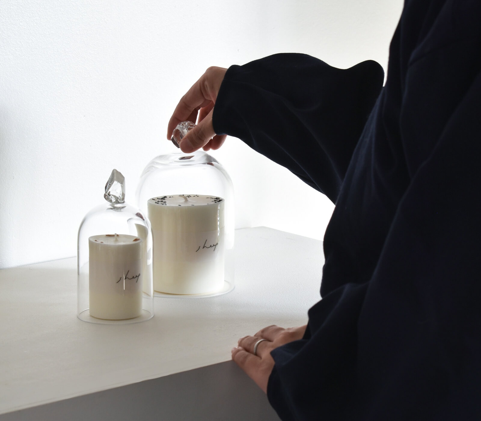 ���������ɥ� sheep