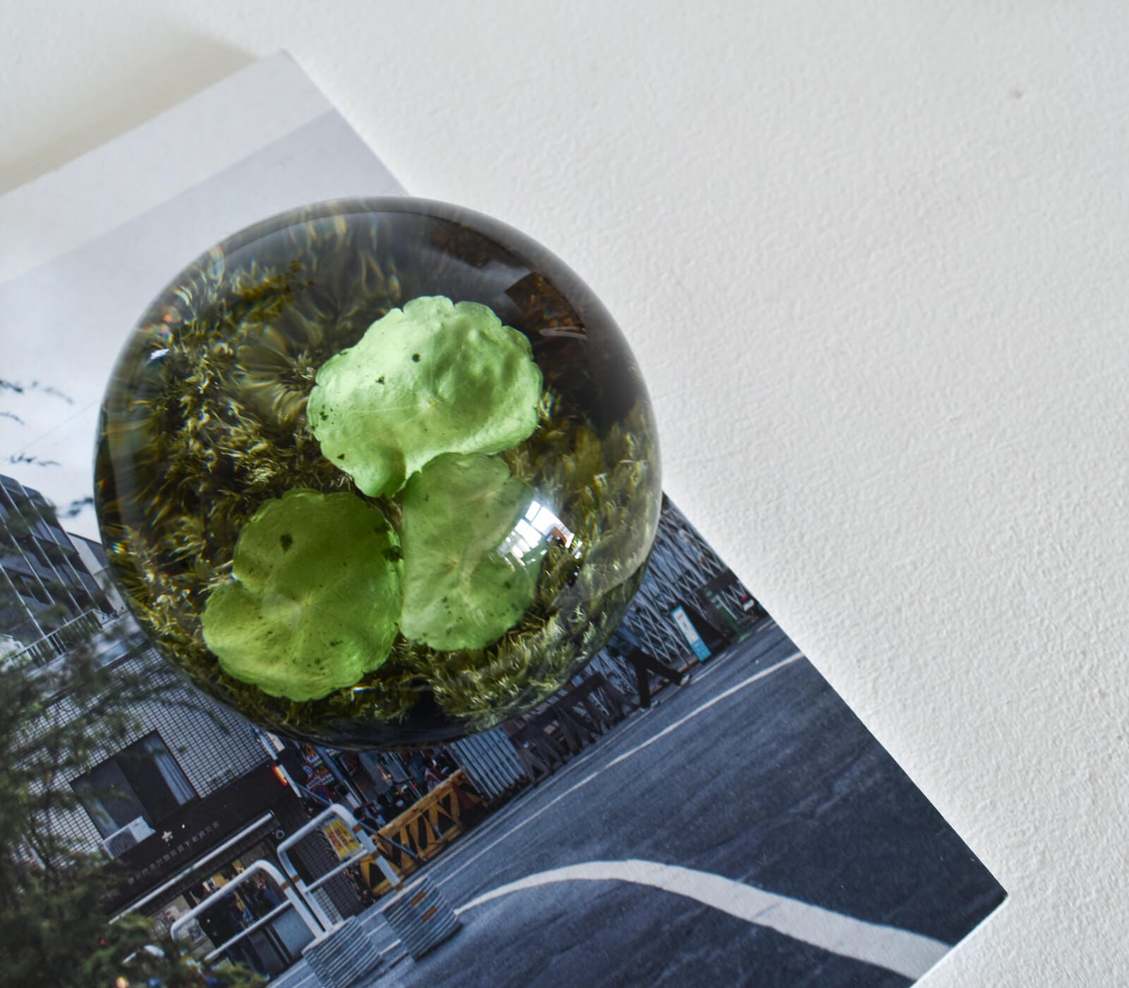 NEW ARRIVAL / ニューアイテム｜CATAWARA