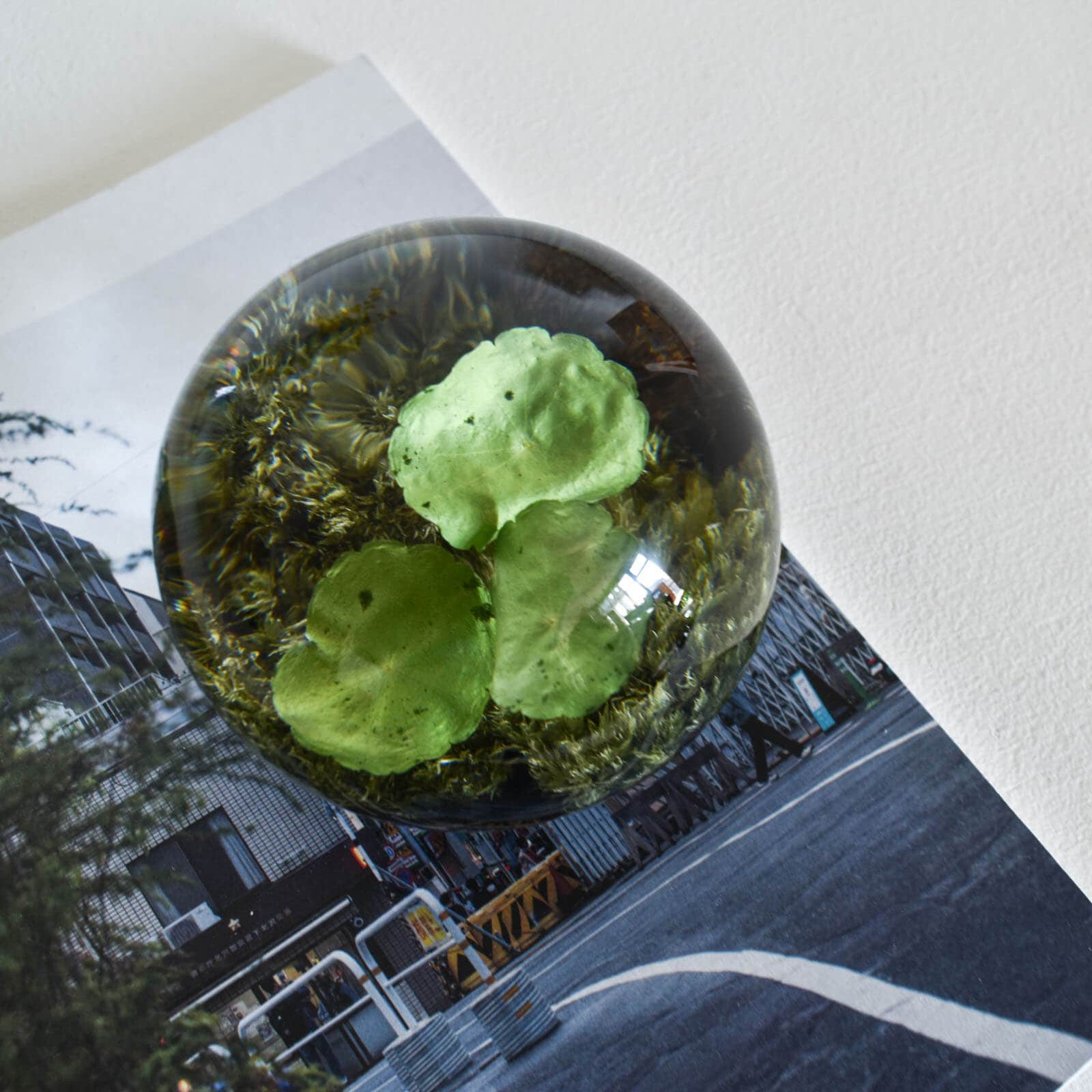 CATAWARA（カタワラ） ｜ 暮らしを豊かにするオンラインショップ