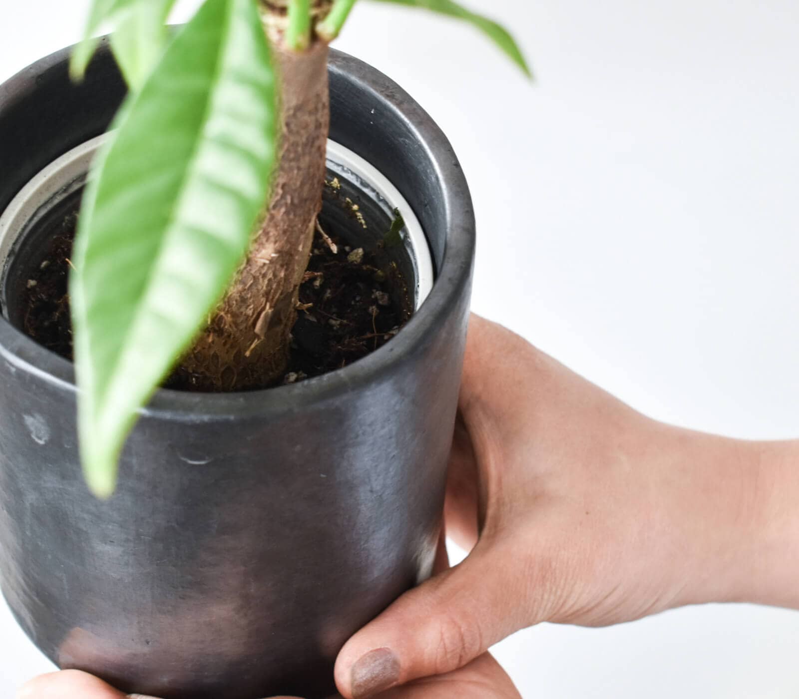 BLACK POTTERY TOOL STAND