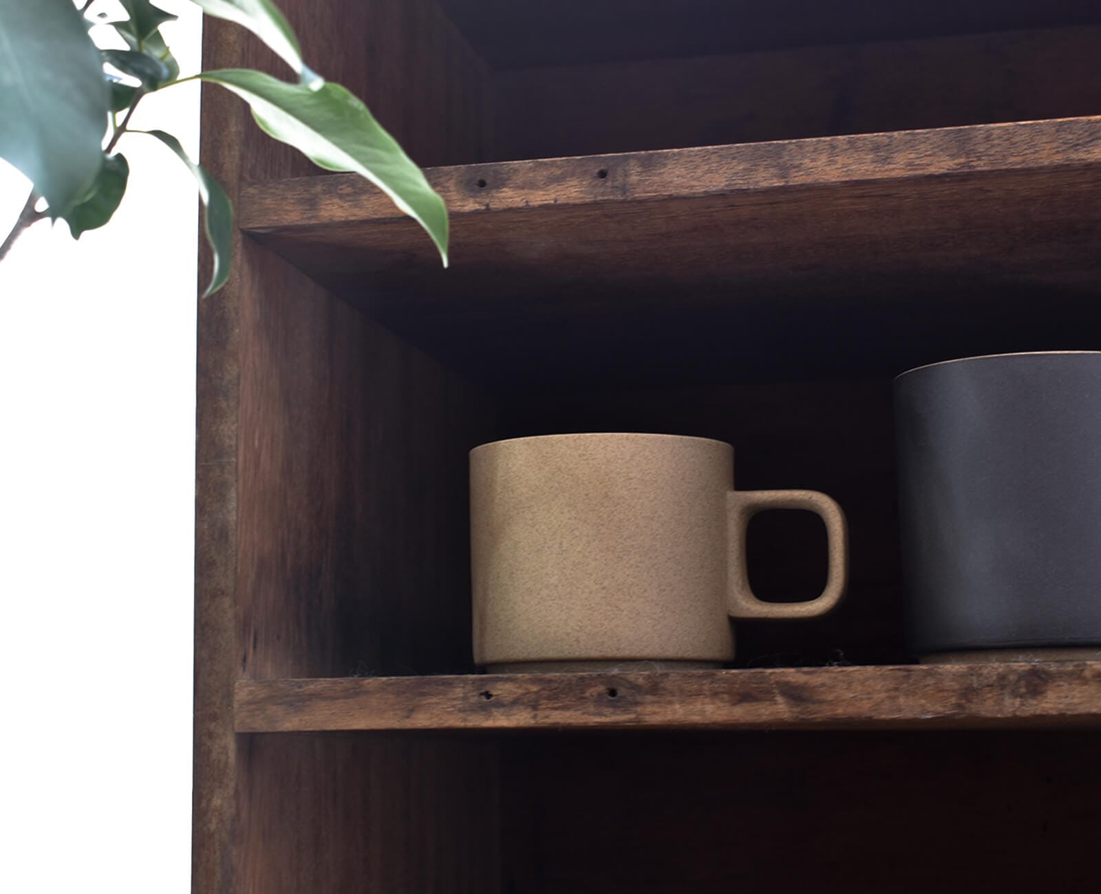 hasami porcelain mug cup