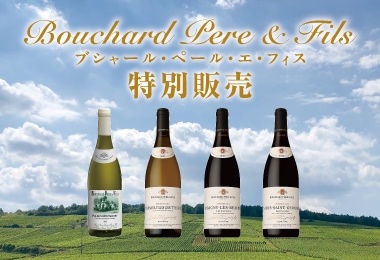 11月DM　ブシャール