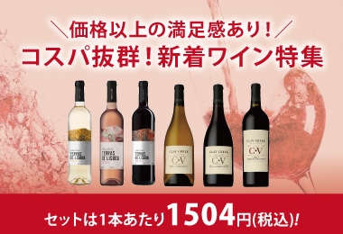 2月DM　コスパ抜群！新着ワイン特集
