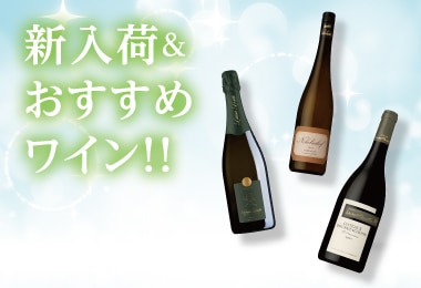 新入荷おすすめワイン！