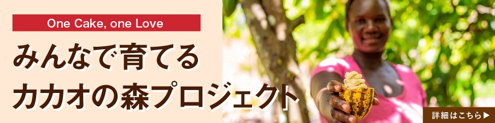 カカオの森プロジェクト 1セットで160円の支援に！