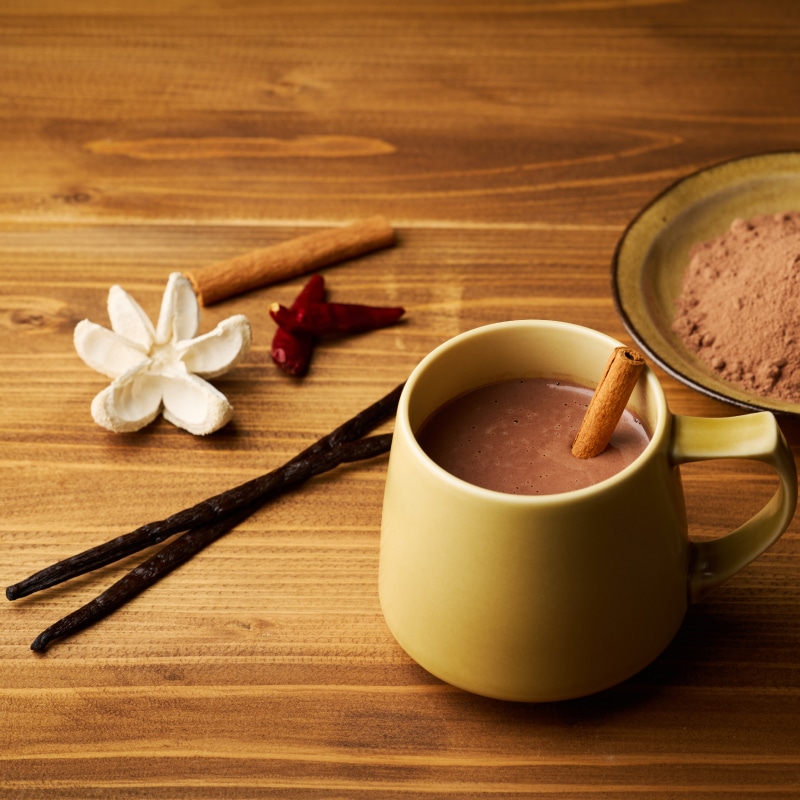 チョコレート屋さんのホットココア エクアドル55 VANILLABEANS公式