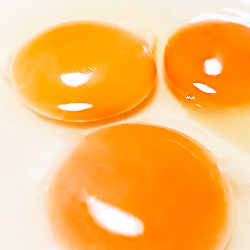 三浦半島産の卵