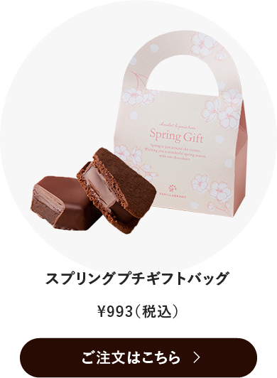 スプリングプチギフトバッグ