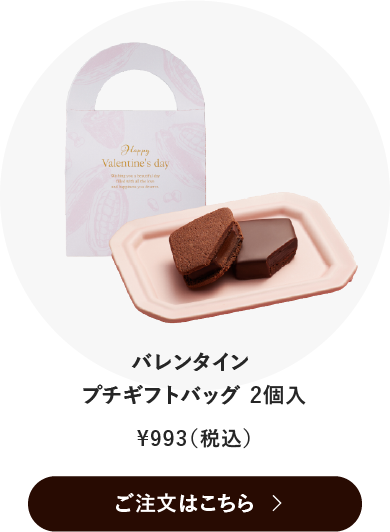 バレンタイン プチギフトバッグ2個入