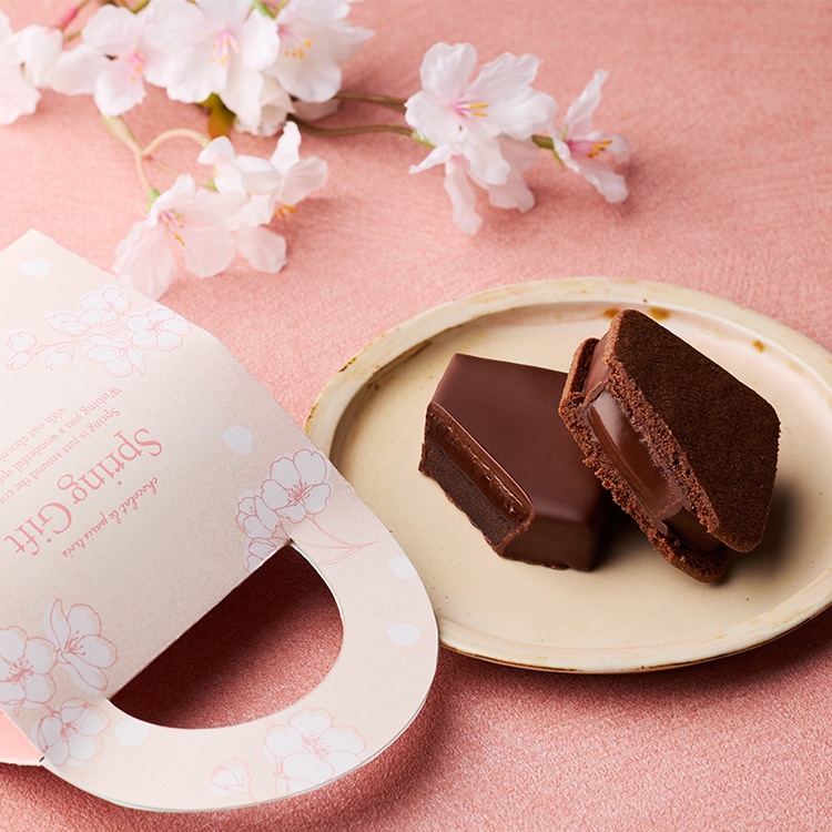 スプリング プチギフトバッグ 2個入 VANILLABEANS公式オンラインショップ