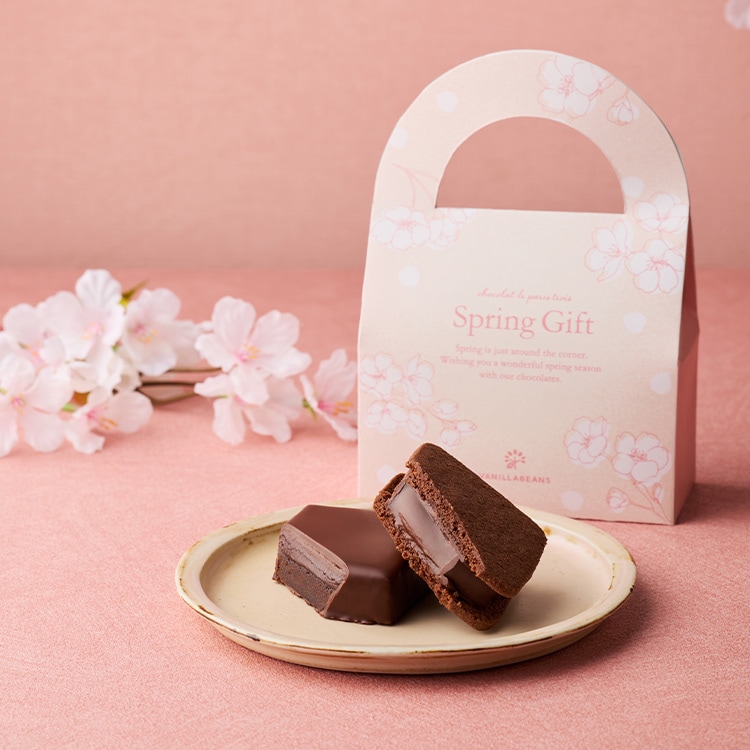 スプリング プチギフトバッグ 2個入 VANILLABEANS公式オンラインショップ