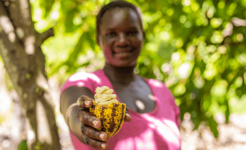 カカオを守る取り組み