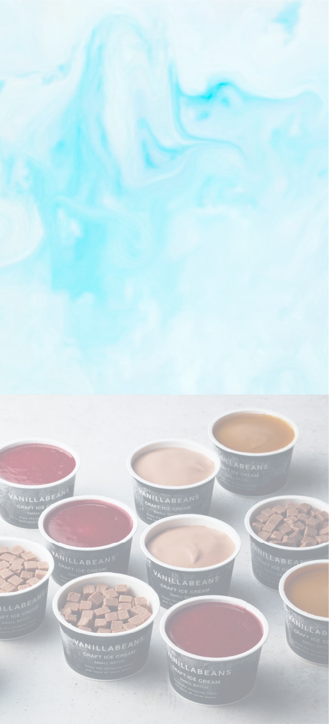 バニラビーンズのSUMMER GIFT 2026 | 横浜チョコレートのバニラ
