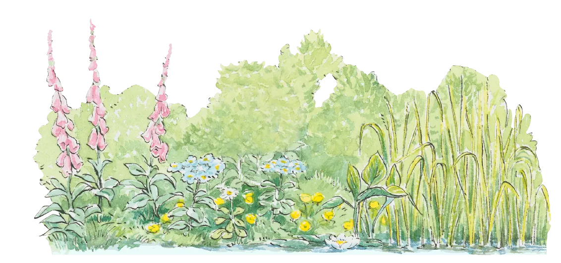 草