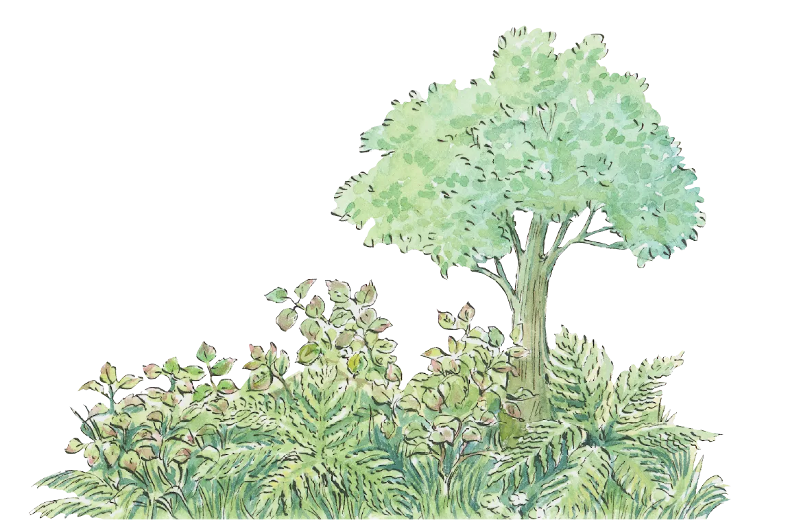 草木