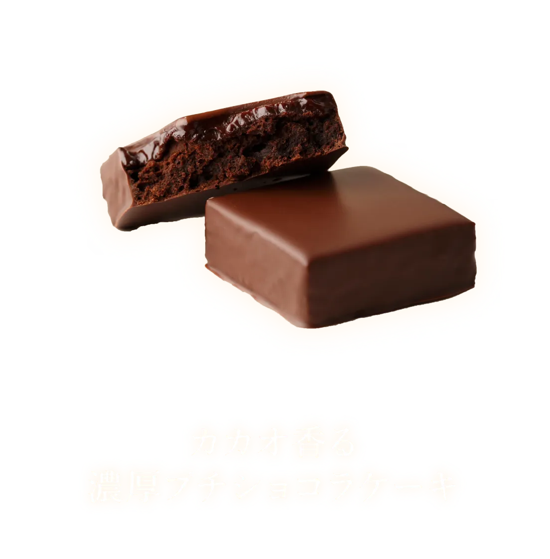 カカオ香る濃厚プチショコラケーキ パリトロ