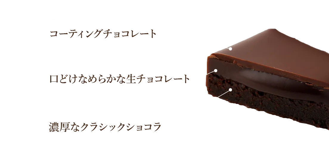 コーディングチョコレート、生チョコレート、クラシックショコラ