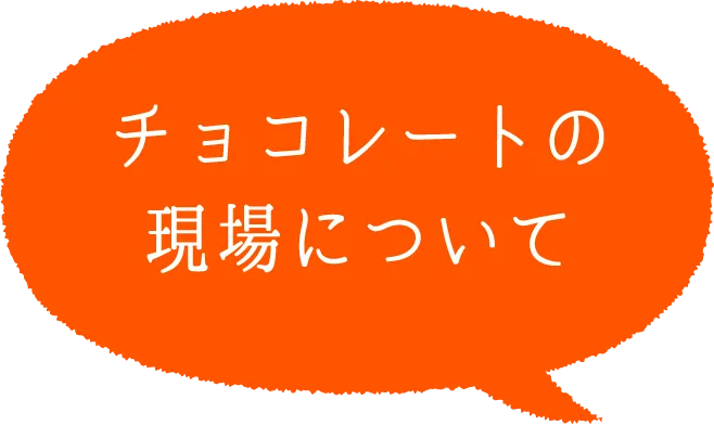 チョコレートの現場について