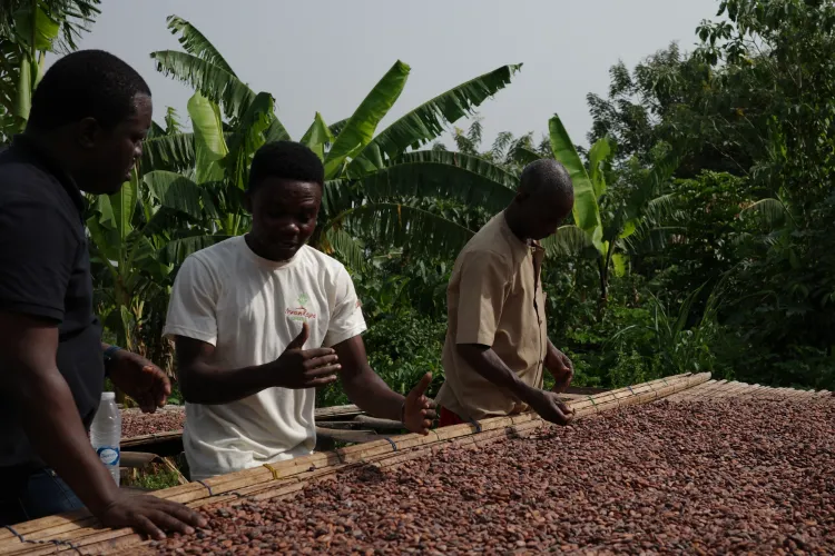 フェアトレードとは