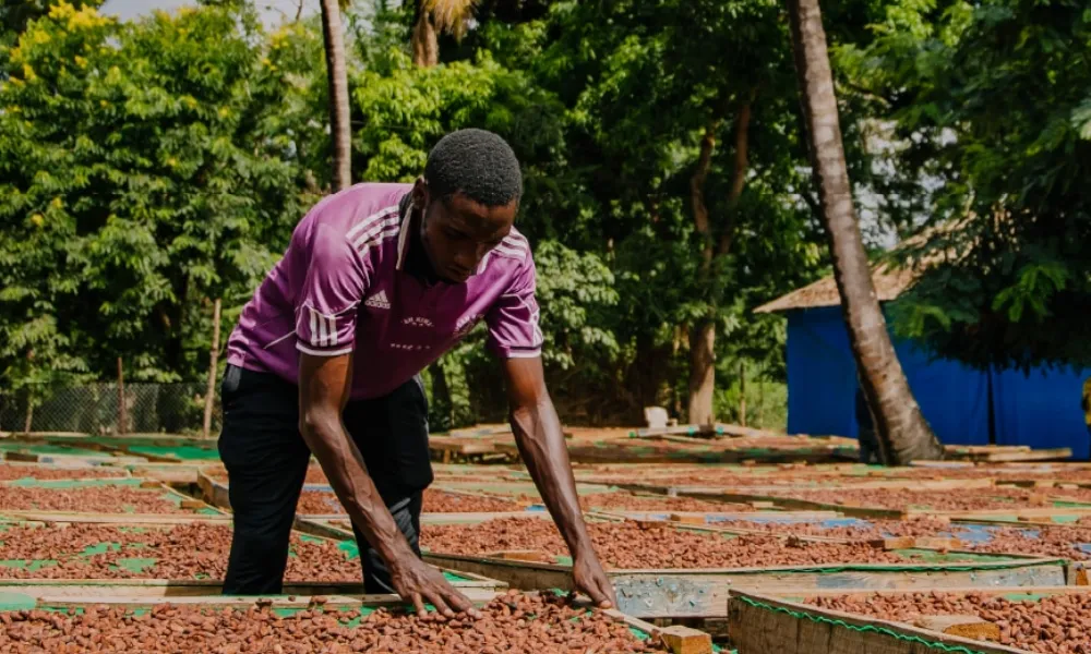 農園支援プロジェクト