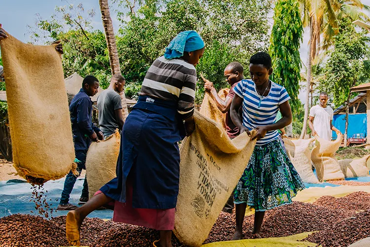 農園支援プロジェクト