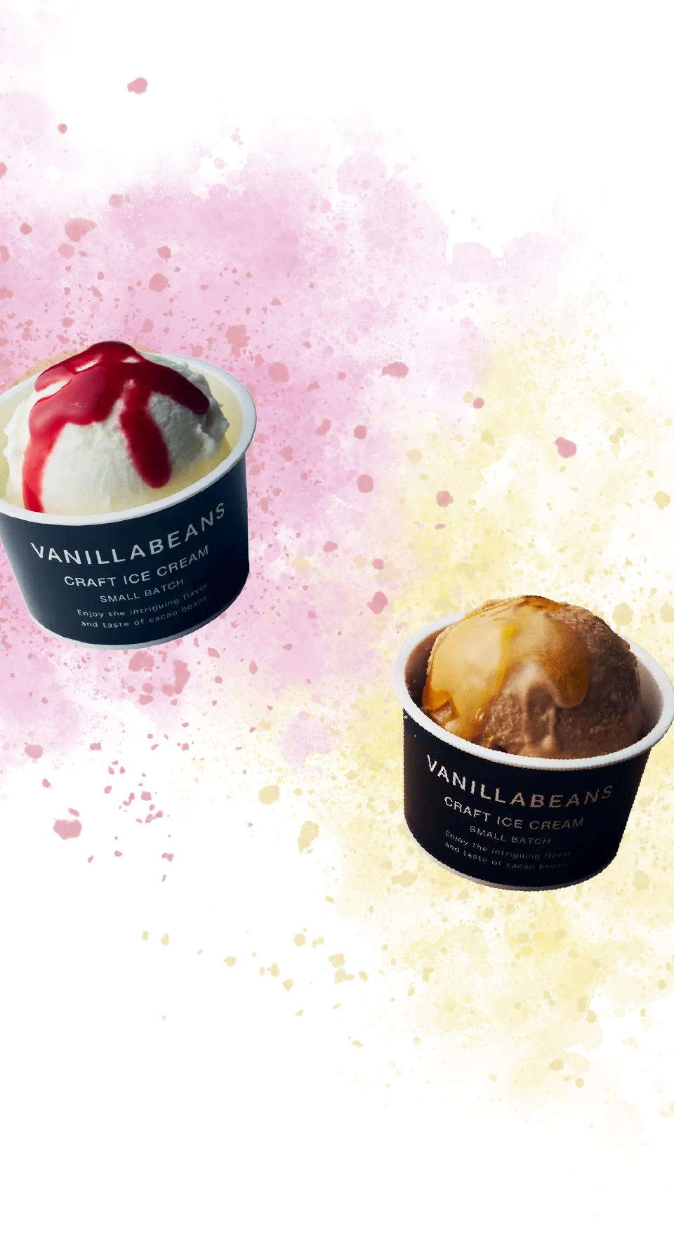 VANILLABEANSのクラフトアイス