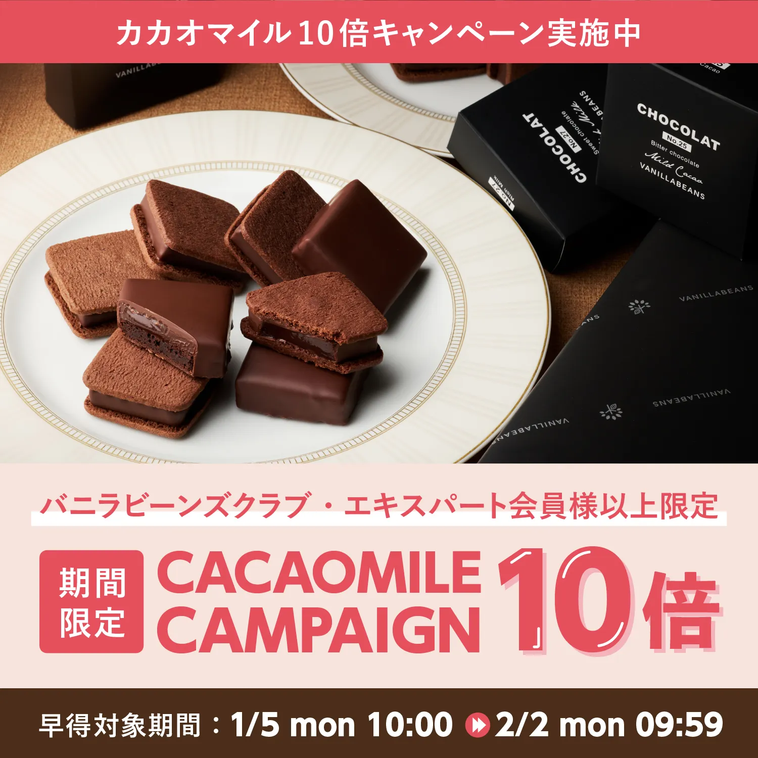 カカオマイル10倍