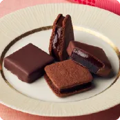 お得なキャンペーン実施中