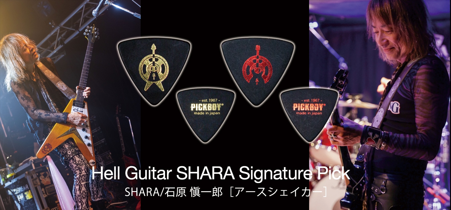 SHARAモデルイメージPC