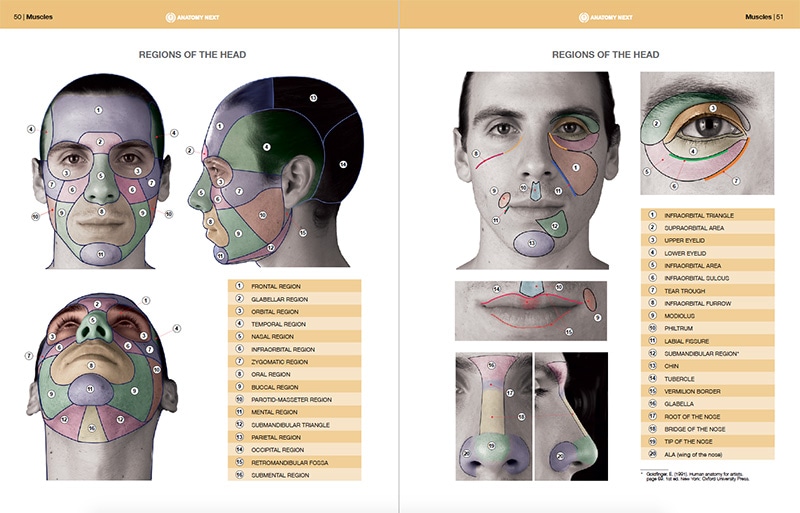 スカルプターのための美術解剖学 2 表情編 | 書籍,その他,デザイン基礎 