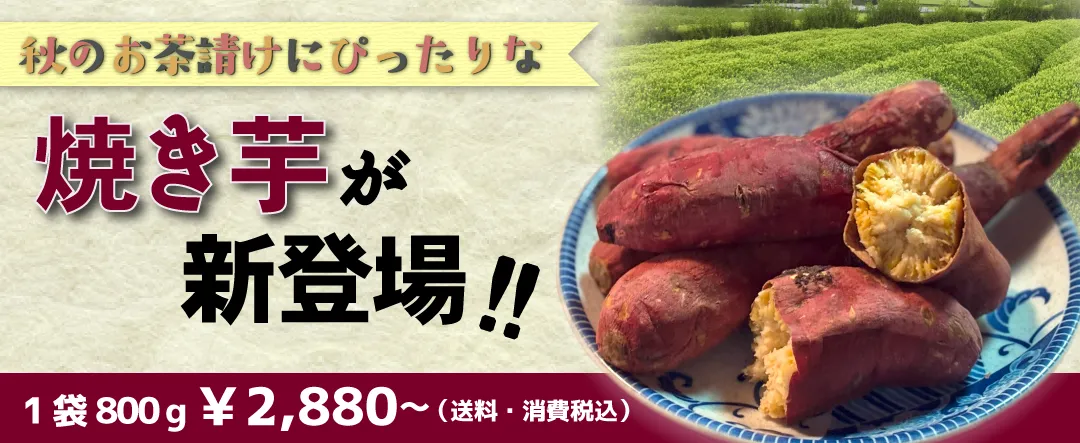 増量セール開催