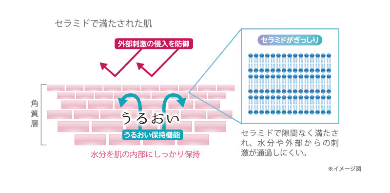 セラバリア