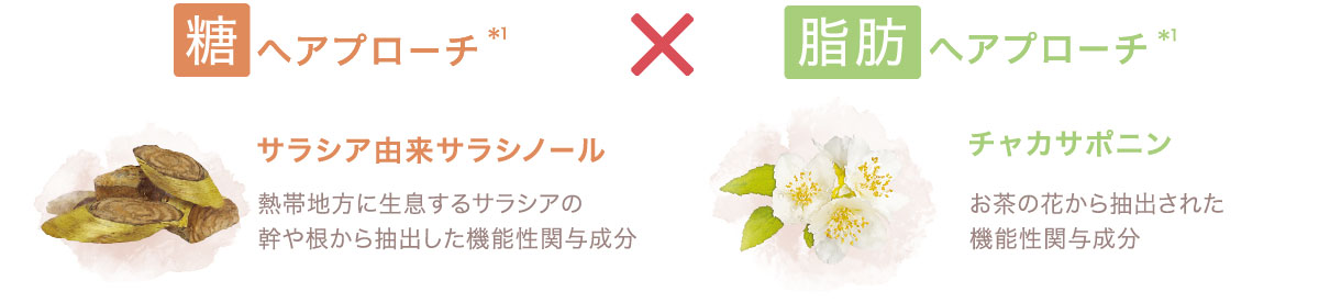 キレイの和漢パーフェクトダイエット