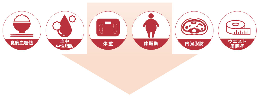 キレイの和漢パーフェクトダイエット