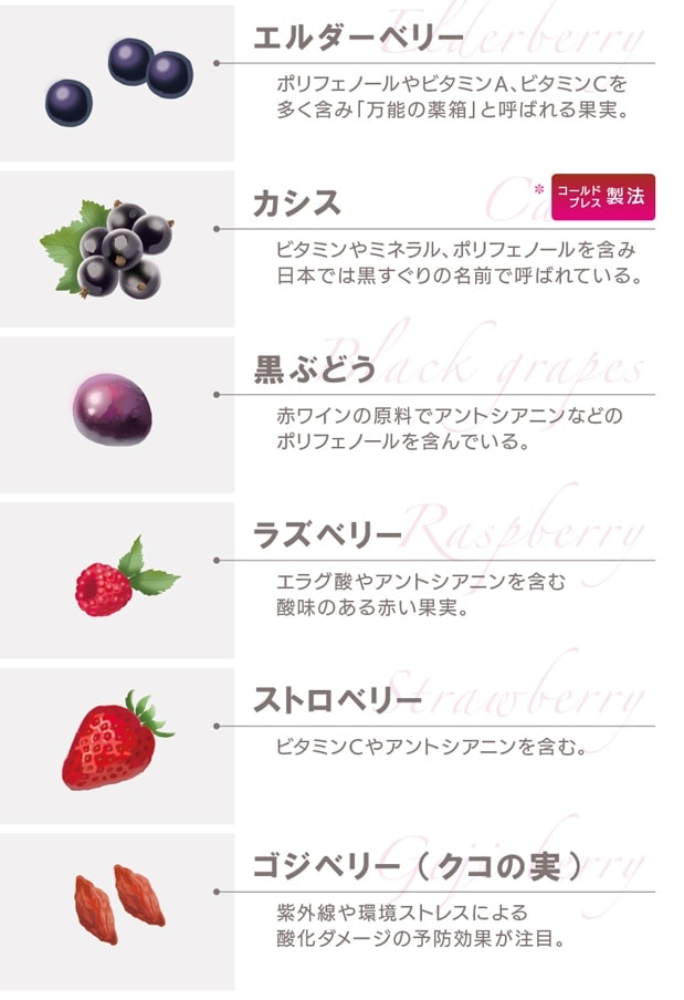 12種類のベリー系果実と和漢素材