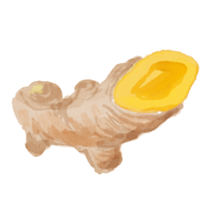 ウコン