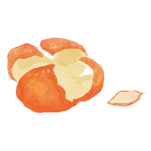 ミカンの皮