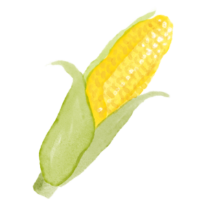 とうもろこし