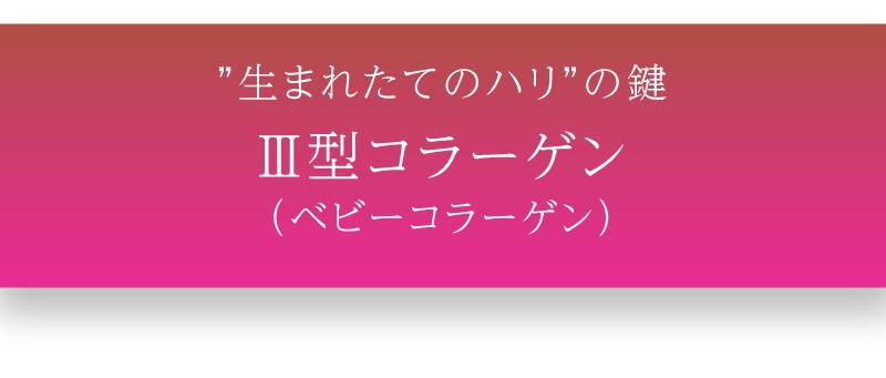 リフトライズ商品情報/タイトル