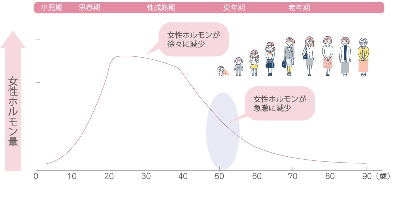 一生で見る女性ホルモンのリズム