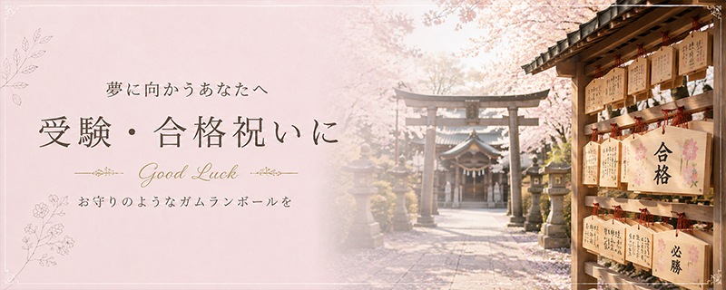 ������ʤΤ���� �ץ쥼��Ȥ˺�Ŭ