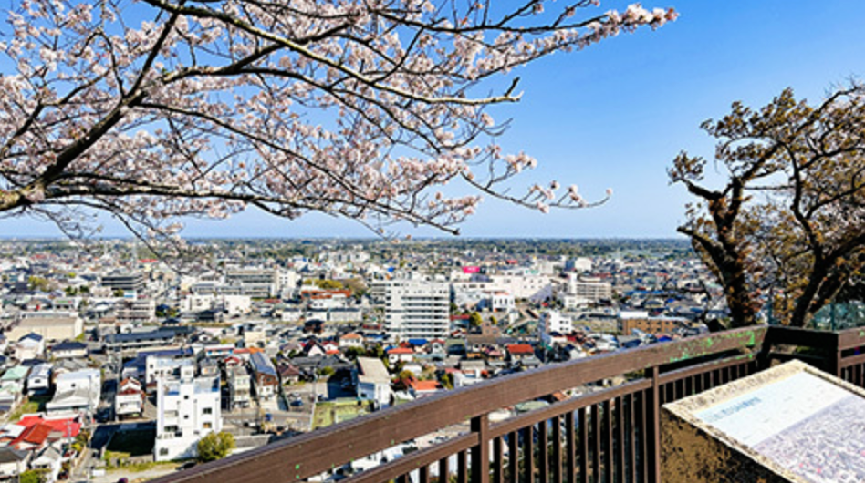 東金市の桜