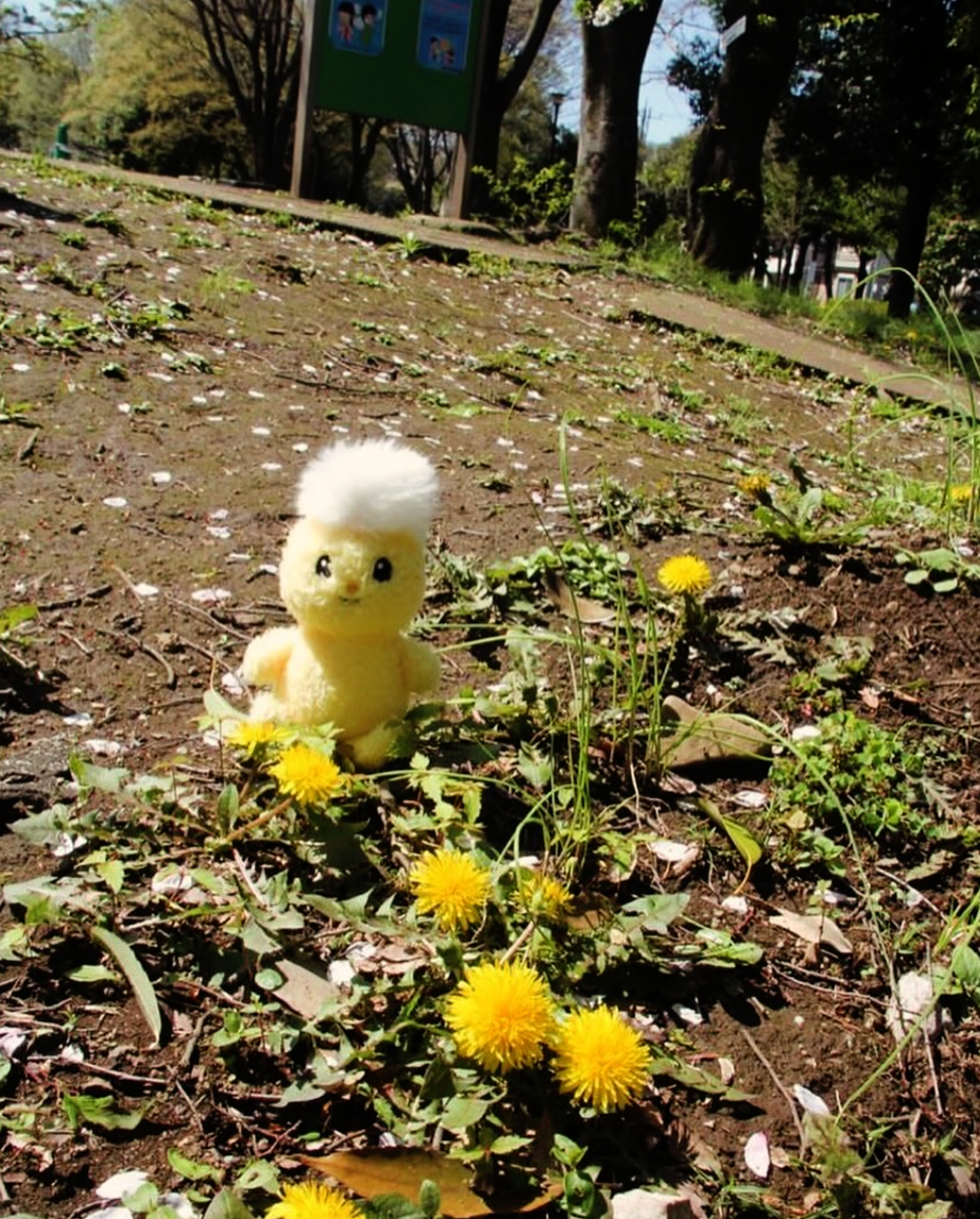 きゃらポチッ ぽぽたん