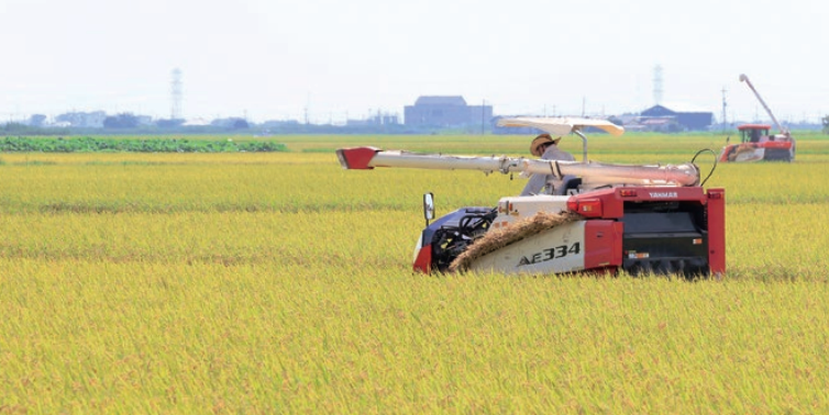 きゃらポチッ 稲敷いなのすけ